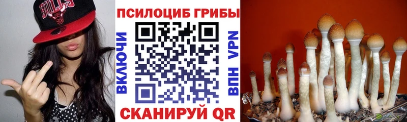 Галлюциногенные грибы прущие грибы  Островной 