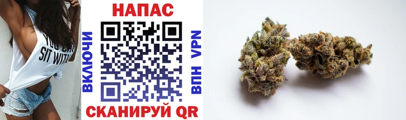 Бошки Шишки SATIVA & INDICA  Островной 